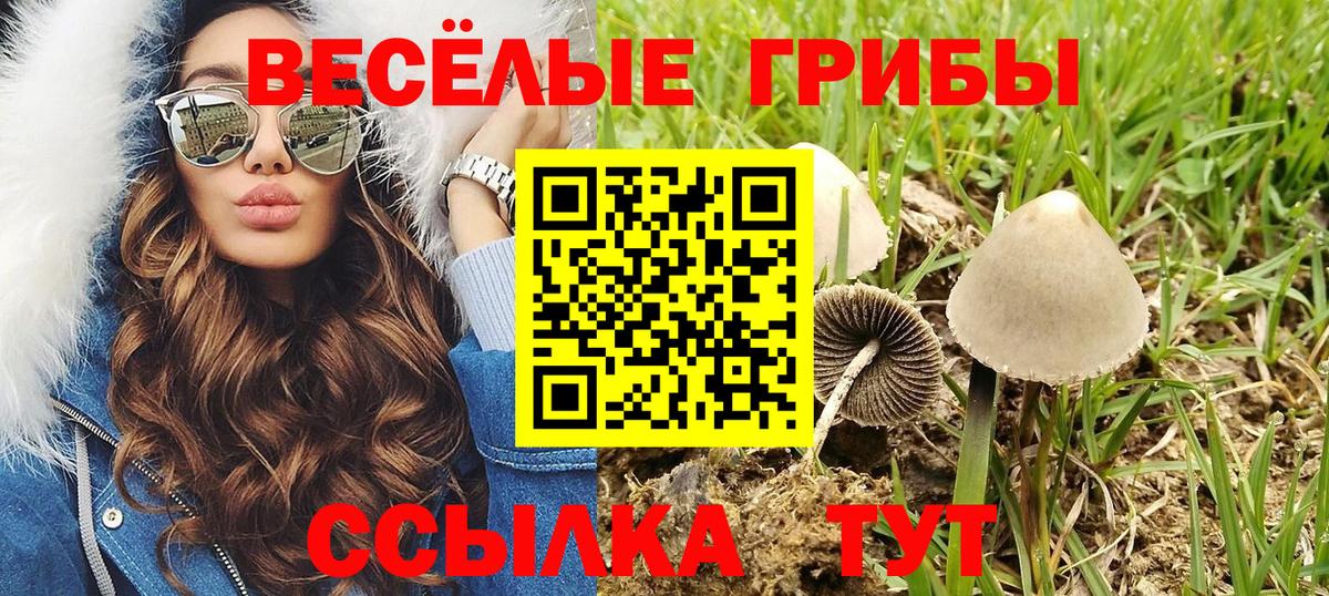 Галлюциногенные грибы прущие грибы  Псилоцибиновые грибы Psilocybine cubensis  Жуковский  Вход с VPN 