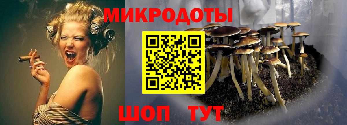 Галлюциногенные грибы ЛСД Жуковский